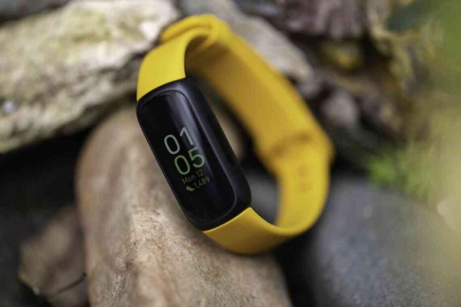 aplicativo Fitbit